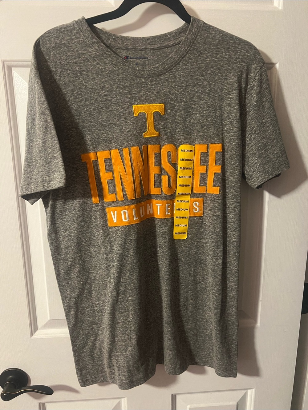 Champion Gray Tennessee Volunteers T-Shirt with Orange Logo
